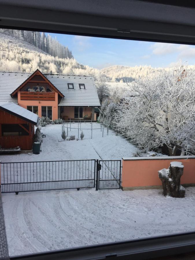 Dovolenkovy Dom Carnica Villa Mlynky Exteriör bild