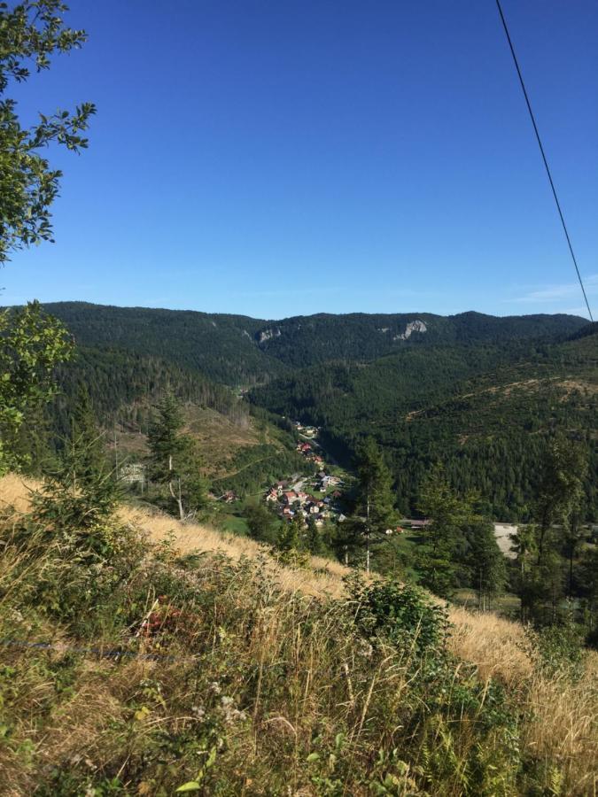 Dovolenkovy Dom Carnica Villa Mlynky Exteriör bild