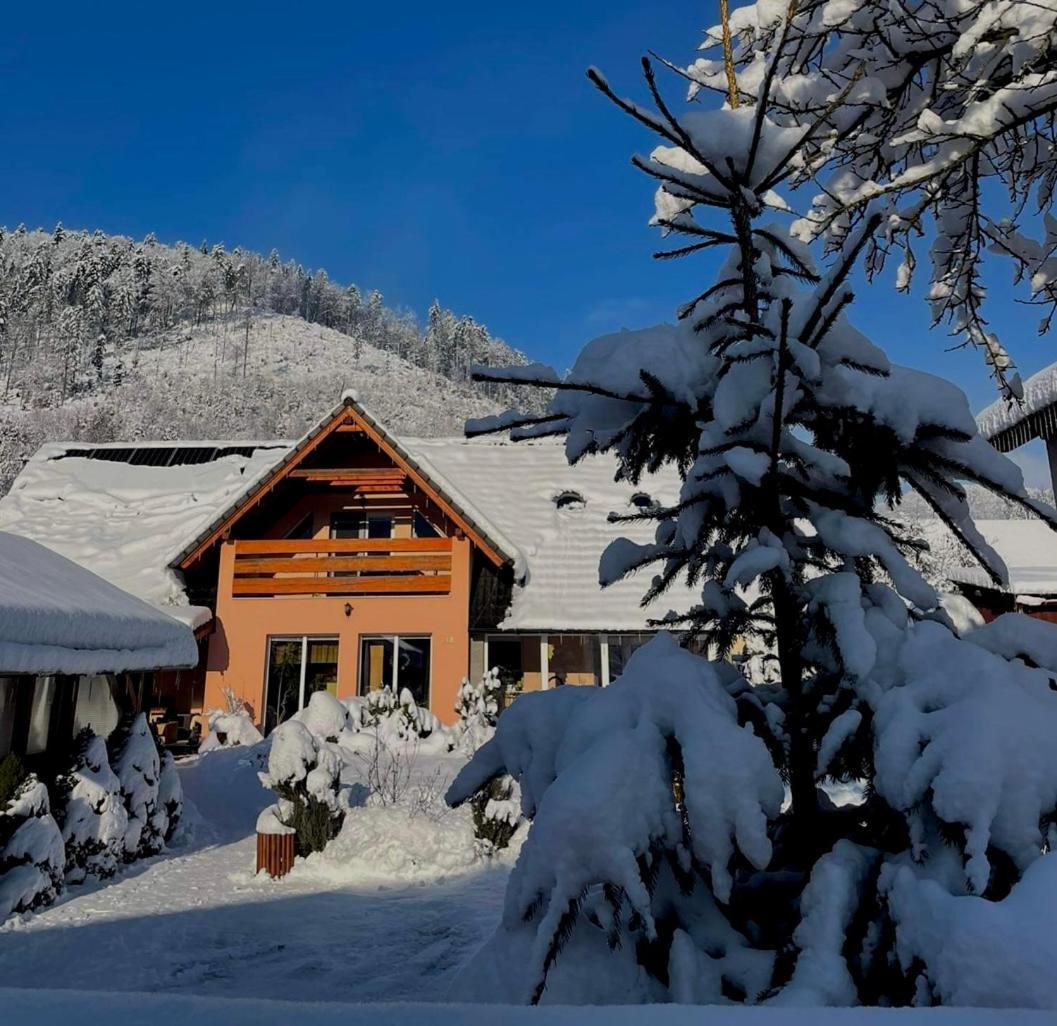 Dovolenkovy Dom Carnica Villa Mlynky Exteriör bild